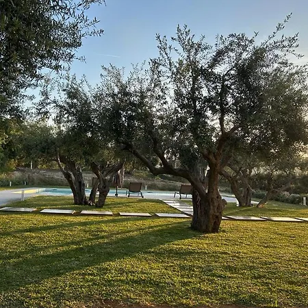 Civetta Blu Bed & Breakfast